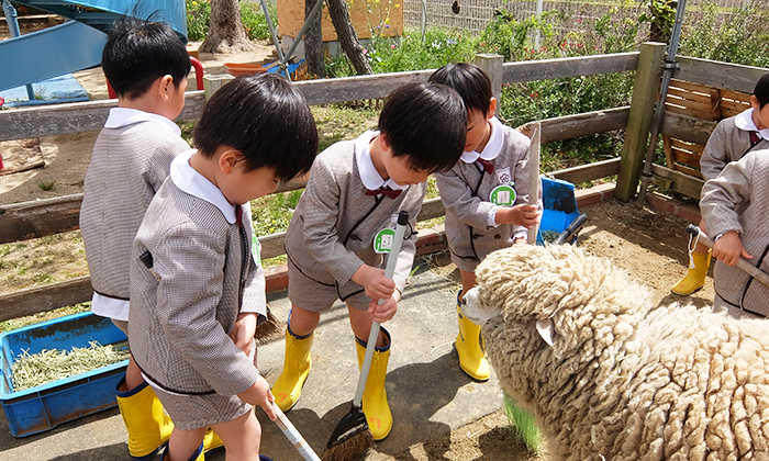 動物とのふれあい